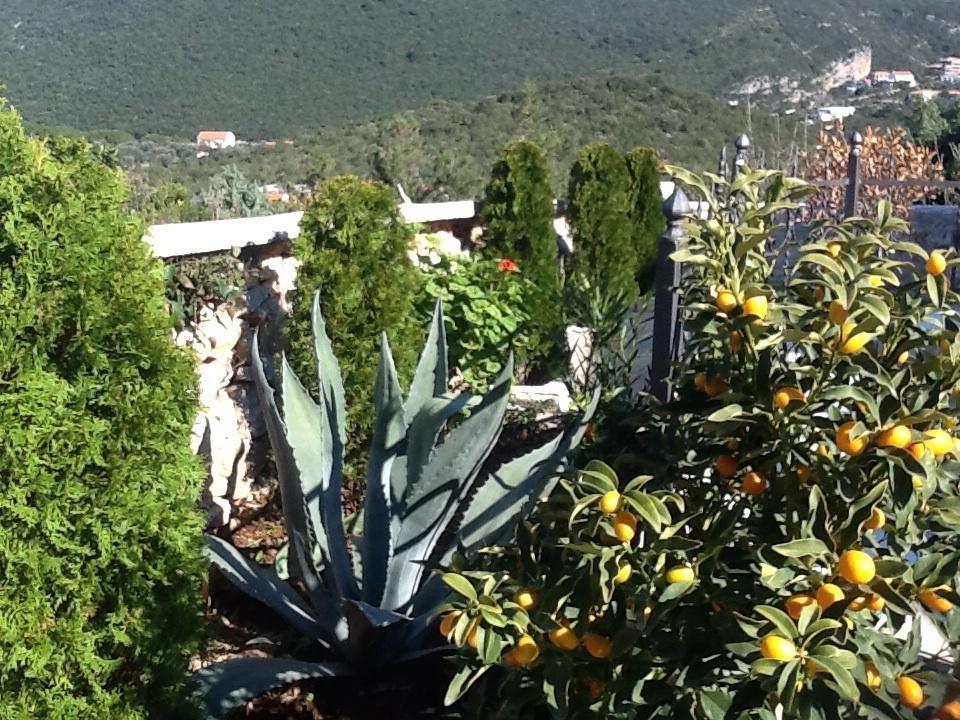 Villa Mirista 루시티차 객실 사진