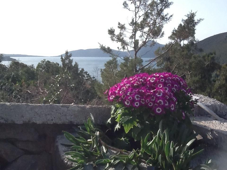 Villa Mirista 루시티차 객실 사진